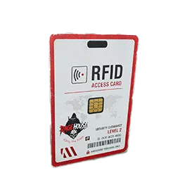 RFID-Karte im DEADSIDE Inventar